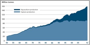 Aquaculture & Capture